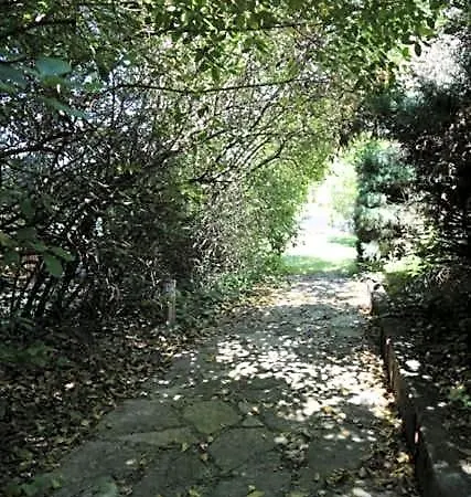 A L'oree Des Cevennes Bed and Breakfast Aigremont